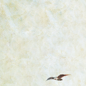 男人天堂五月天
